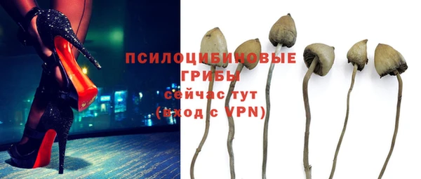 гидропоника Алексин