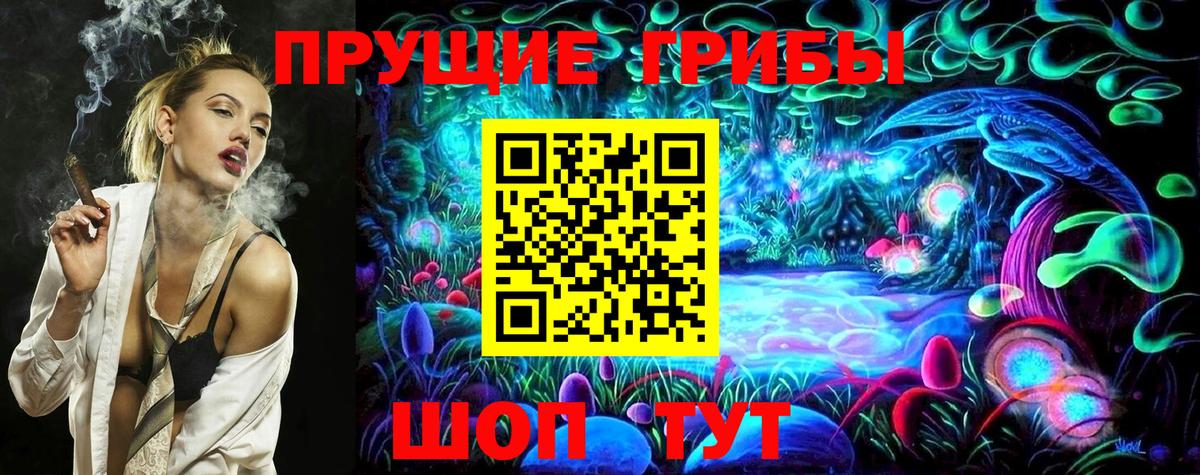 Псилоцибиновые грибы прущие грибы  Галлюциногенные грибы Psilocybe  Новокубанск  Вход с VPN 